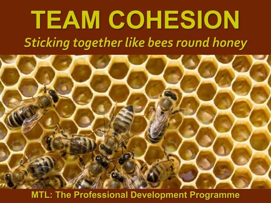Team Cohesion