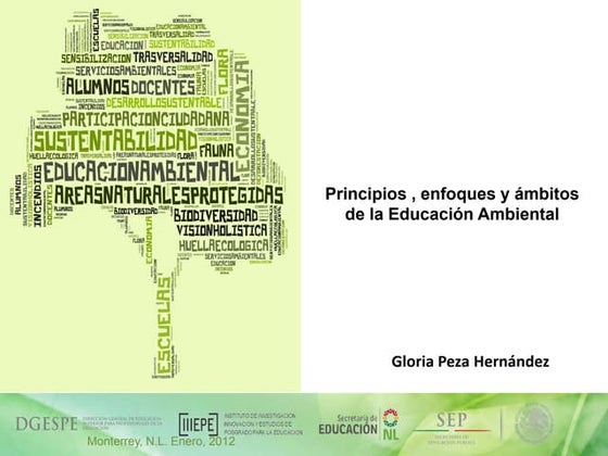 1.2. principios enfoques y ambitos de la ea
