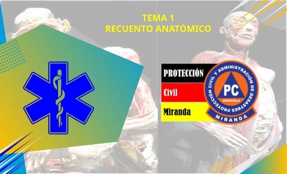 1.- RECUENTO ANATOMICO PARA ENSEÑAR .pptx