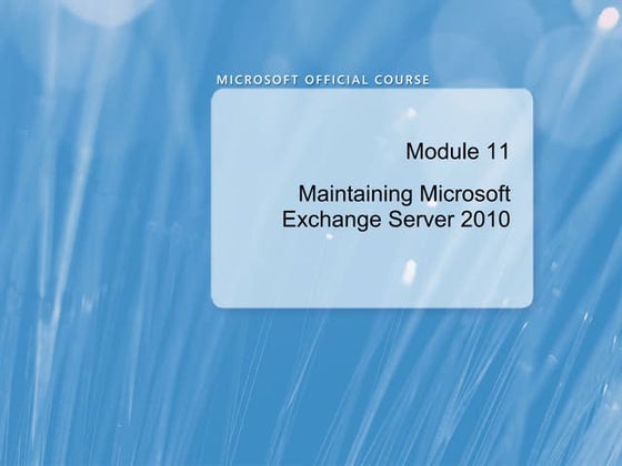 10135 b 11