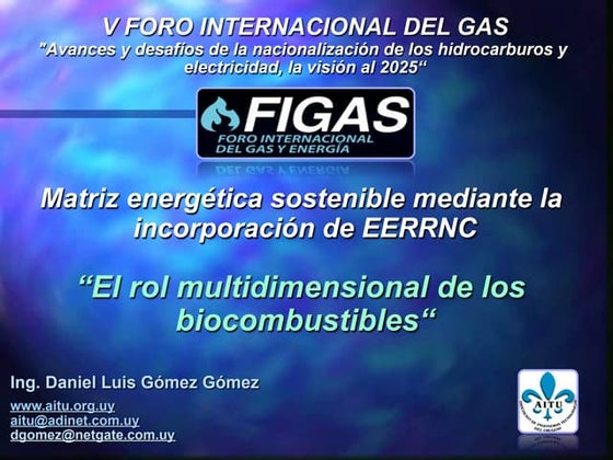 El rol multidimensional de los biocombustibles_Daniel_Gomez_FIGAS2013