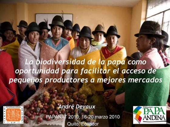 La biodiversidad de la papa como oportunidad para facilitar el acceso de pequ...