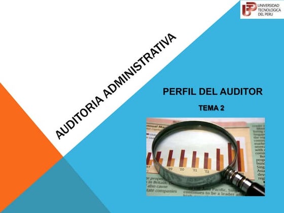 perfil del auditor