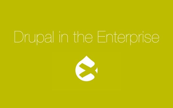Amplexor Drupal for the Enterprise seminar - evaluating Drupal for the Enterp...