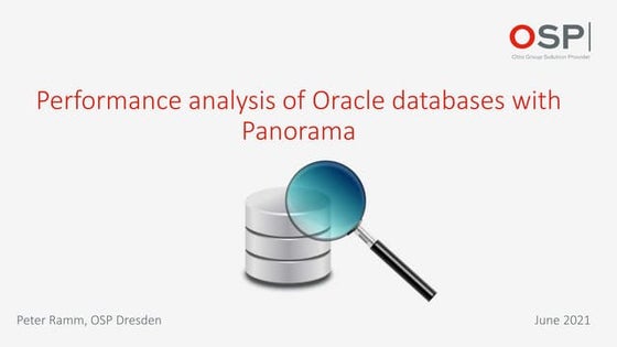 Oracle-DB: Performance Analysis with Panorama