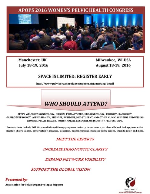 flyer conference