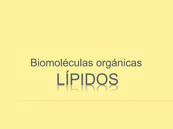 3. lípidos