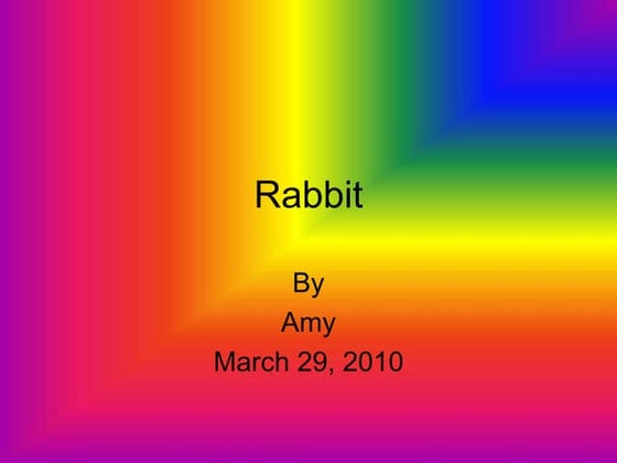 Rabbit