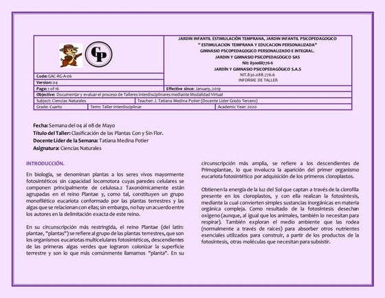 4° taller interdisciplinar mayo 04 al 08  actividades