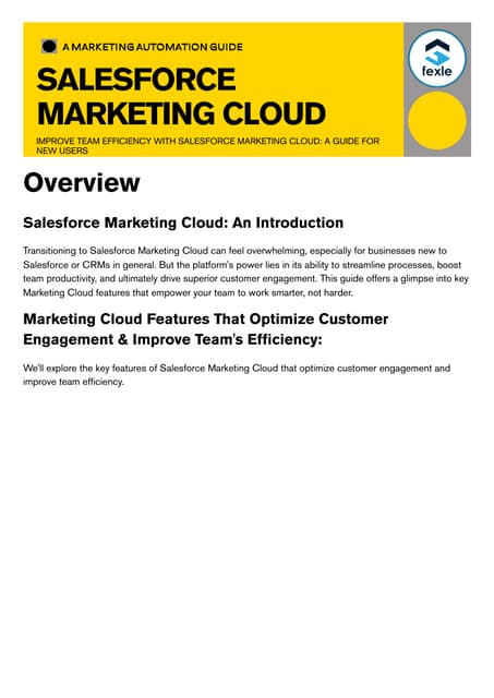 Salesforce Marketing Cloud Implementation by FEXLE - Automate Marketing Workf...