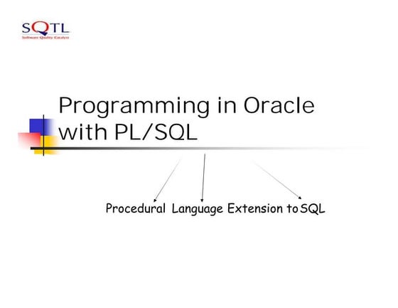 Programming in Oracle with PL/SQL