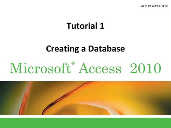 New Perspectives: Access.01
