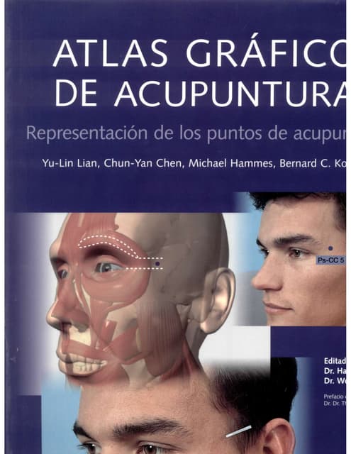 Acupuntura atlas (A2)