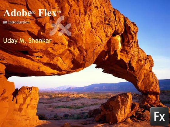Adobe® Flex™
