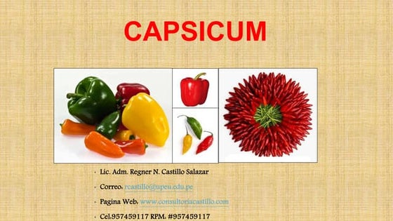 Agroexportación de capsicum