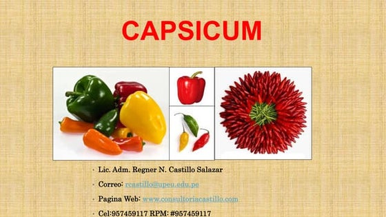 Agroexportación de capsicum