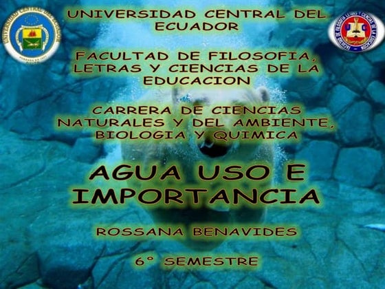 AGUA USO E IMPORTANCIA por Rossana Benavides