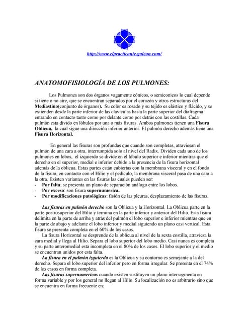 Anato-Fisiología de los Pulmones