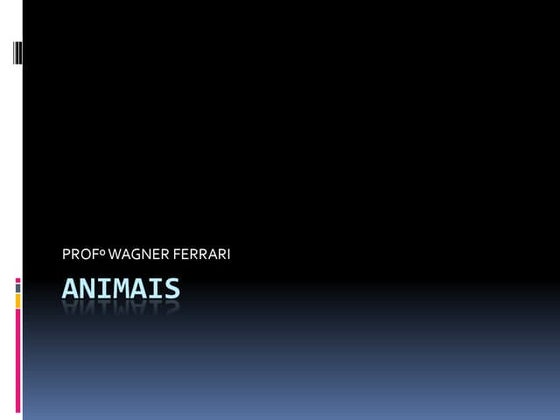 Animais 110913184501-phpapp02
