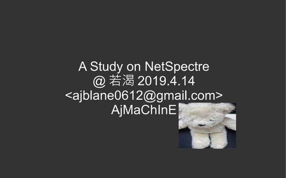 A study on NetSpectre