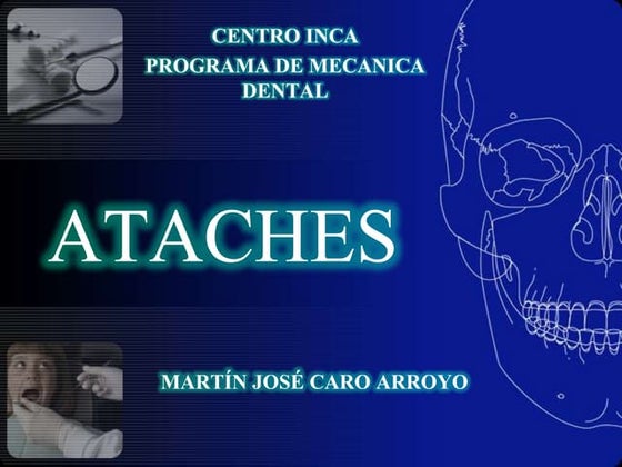 Ataches
