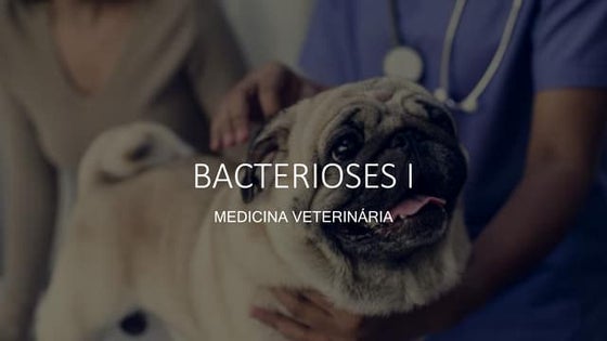 BACTERIOSES  med vetgggggggggggg6rrrreeee