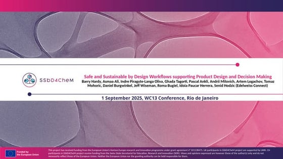 Safe and Sustainable by Design Workflows supporting Product Design and Decisi...