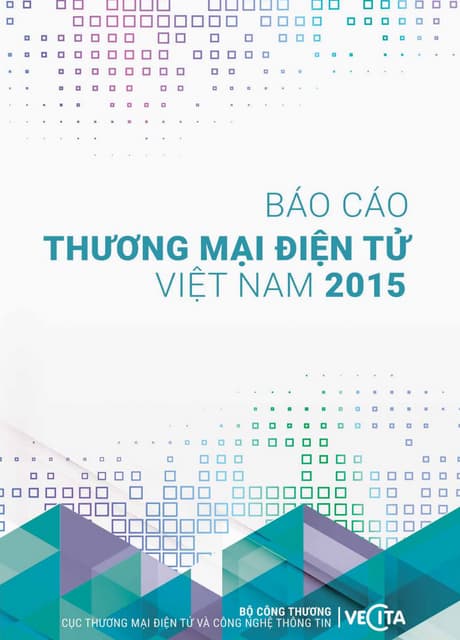 Báo cáo Thương mại điện tử Việt Nam năm 2015