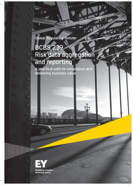 BCBS 239 risk data aggregation reporting_Feb15_PRINT
