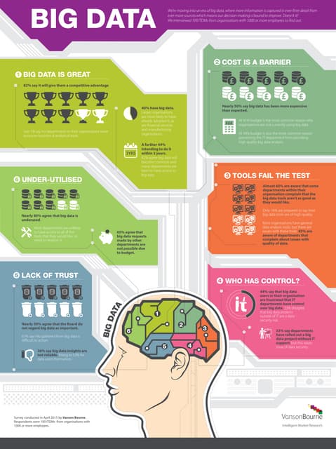 Vanson Bourne Infographic: Big Data
