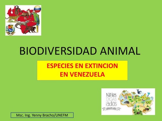 Biodiversidad animal