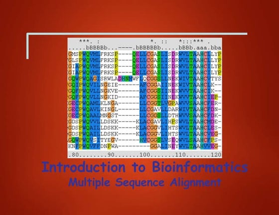 Bioinformatics lesson