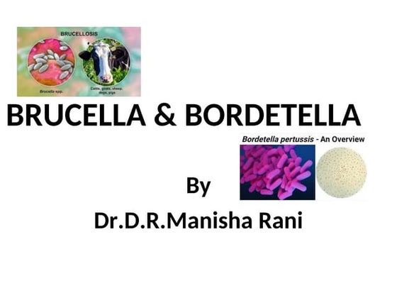 A brief overview of Brucella and Bordetella, focusing on their characteristic...