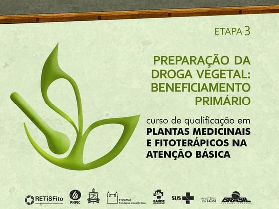 C1 e3 ppt_preparacao_da_droga_vegetal