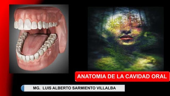 Cavidad oral def 2020