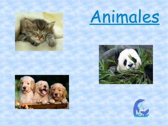 animales