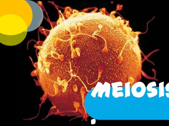 REPRODUCCIÓN CELULAR/ DIVISIÒN CELULAR/ MITOSIS/ MEIOSIS