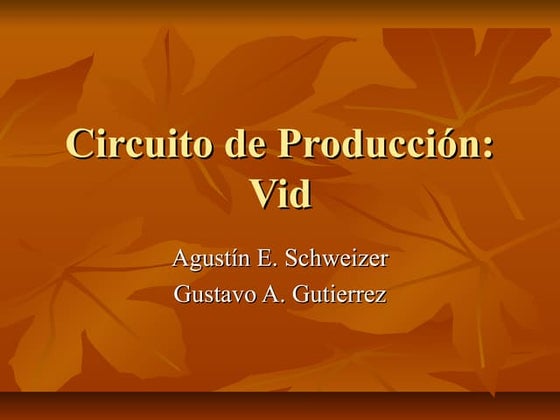 Circuito de producción agustín y gustavo