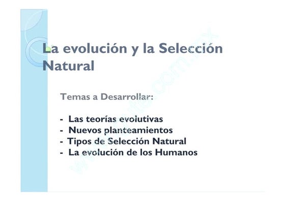 Clase 13 Evolución Y Selección Natural