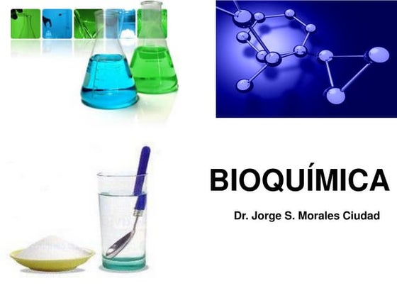 Clase bioquímica (1)