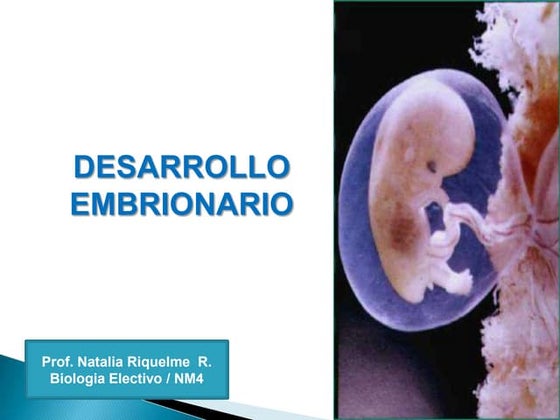 Clases nm4 bio_dif.[1]