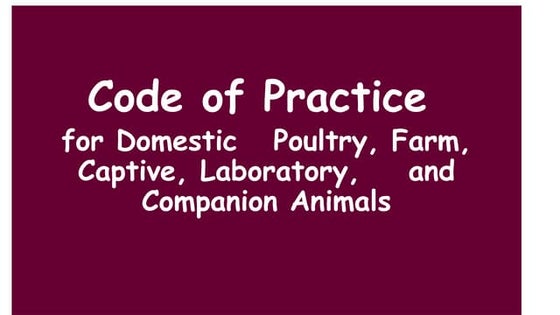 The Lecture Include code of practice.pptx