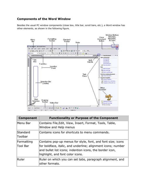 Components of the word window