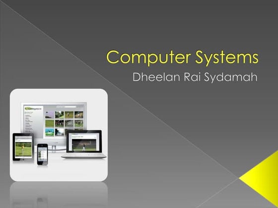 Computer systems 