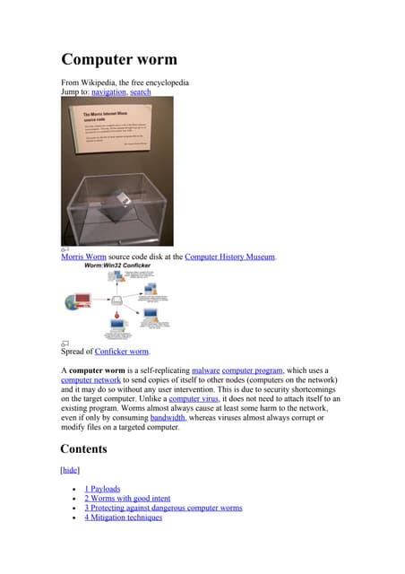 Computer worm