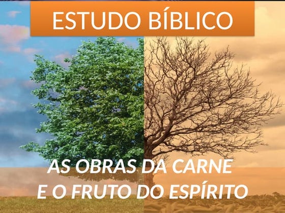 Cópia de asobrasdacarne-110709153526-phpapp02.pptx