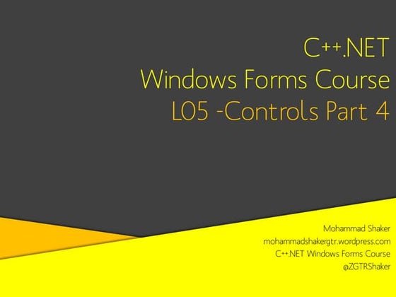 C++ Windows Forms L05 - Controls P4