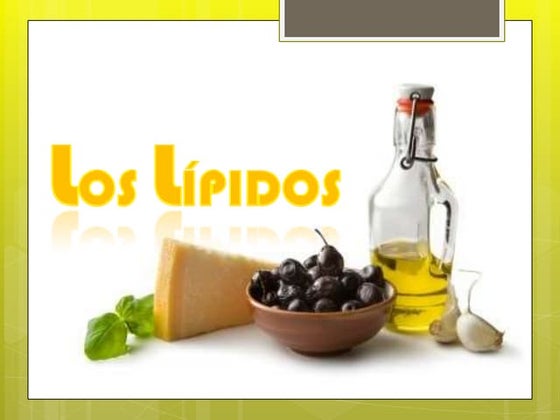 Los Lípidos - CTA