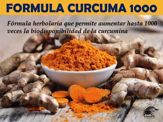 USOS MEDICINALES DE LA CURCUMA (Curcuma longa)
