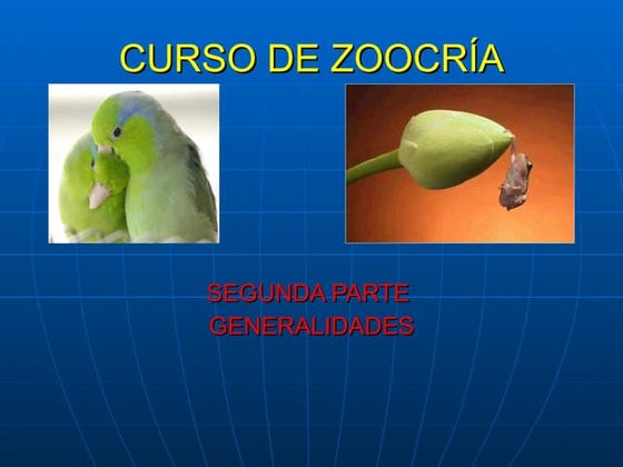 Curso  zoocria parte2